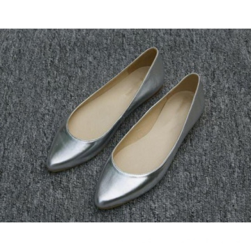 New Collection Pointed Toe Casual Womens Flat Shoes (Hcy02-714)